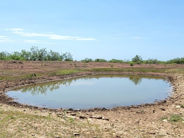 401 CR 104, Santa Anna, TX 76878