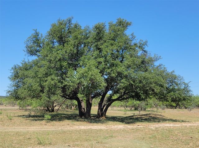 401 CR 104, Santa Anna, TX 76878