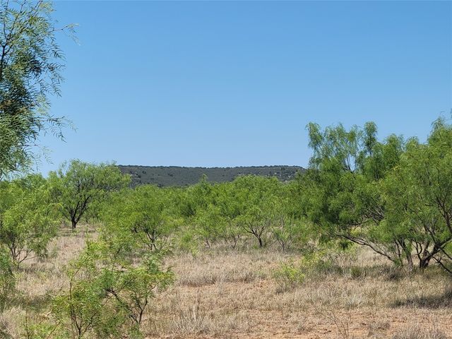 401 CR 104, Santa Anna, TX 76878