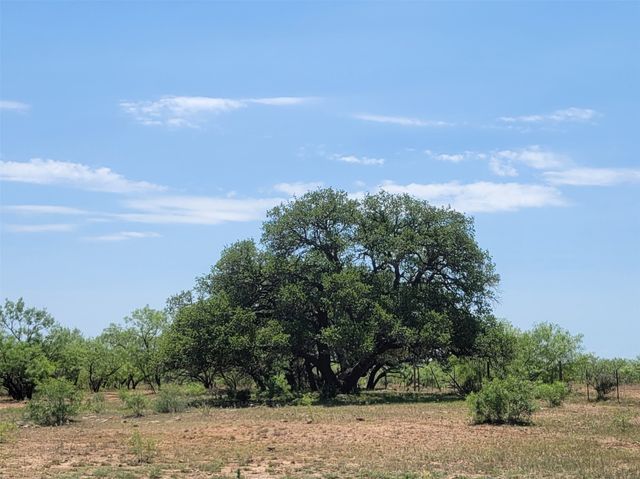 401 CR 104, Santa Anna, TX 76878