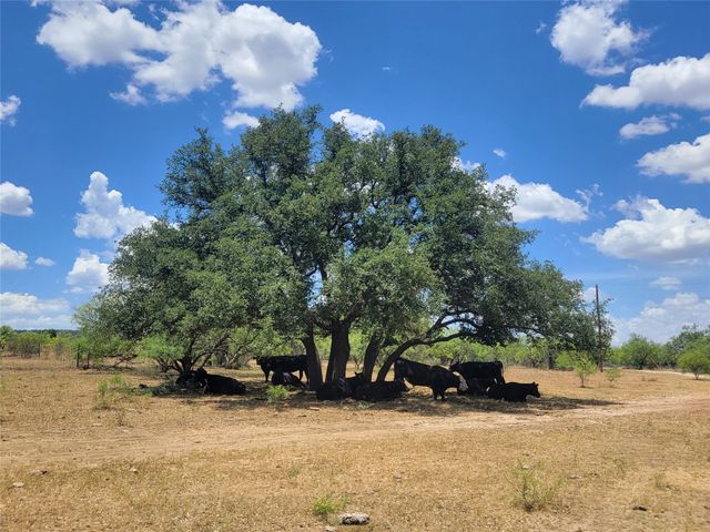 401 CR 104, Santa Anna, TX 76878