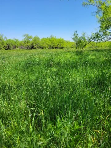 401 CR 104, Santa Anna, TX 76878
