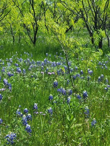 401 CR 104, Santa Anna, TX 76878