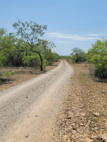 401 CR 104, Santa Anna, TX 76878
