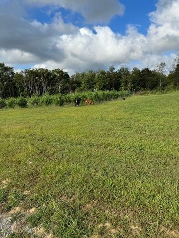 129 Rushing Springs Rd, Monterey, TN 38574