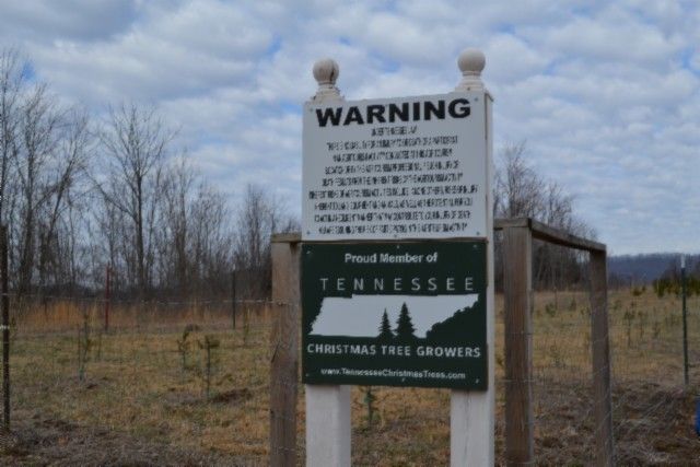 129 Rushing Springs Rd, Monterey, TN 38574