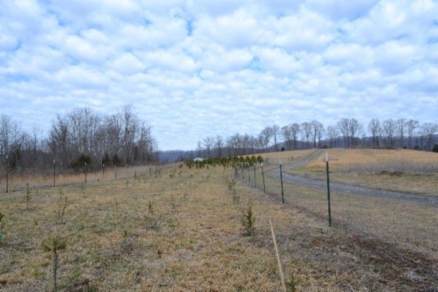 129 Rushing Springs Rd, Monterey, TN 38574