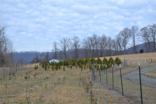 129 Rushing Springs Rd, Monterey, TN 38574