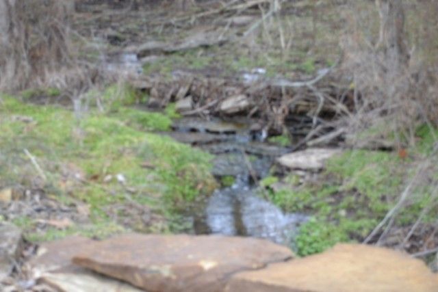 129 Rushing Springs Rd, Monterey, TN 38574