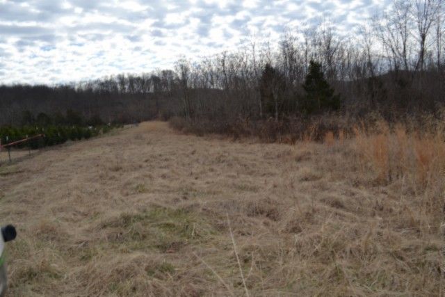 129 Rushing Springs Rd, Monterey, TN 38574