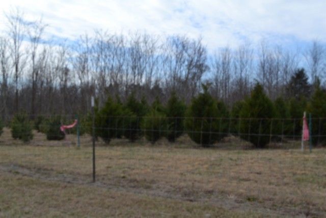 129 Rushing Springs Rd, Monterey, TN 38574