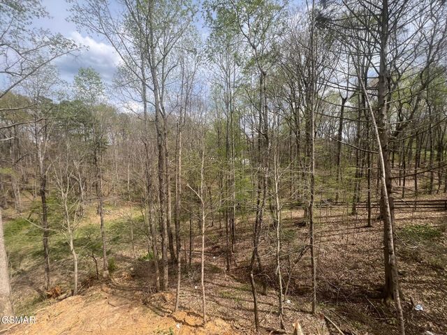 2428 IRON FORGE WAY, Sevierville, TN 37876