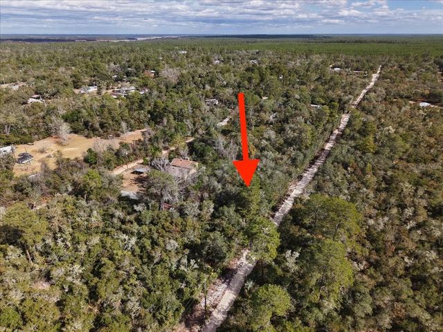 NE 233RD LANE, Fort Mc Coy, FL 32134