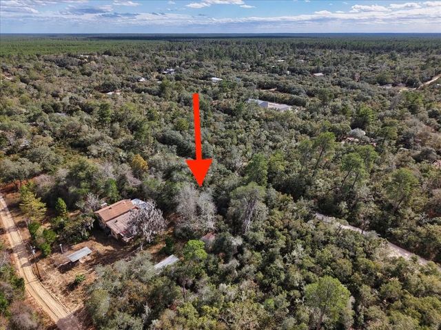 NE 233RD LANE, Fort Mc Coy, FL 32134