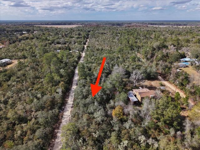 NE 233RD LANE, Fort Mc Coy, FL 32134