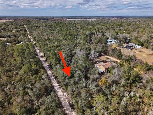 NE 233RD LANE, Fort Mc Coy, FL 32134