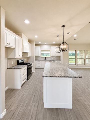 1013 Abbie Ruth Court, Springtown, TX 76082