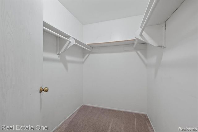 4469 Ardmore Drive, Sterling Heights, MI 48310