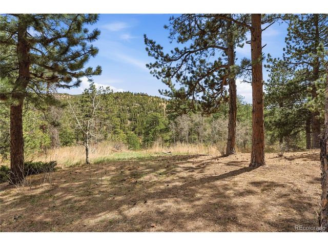 11488 Ranch Elsie Rd, Golden, CO 80403