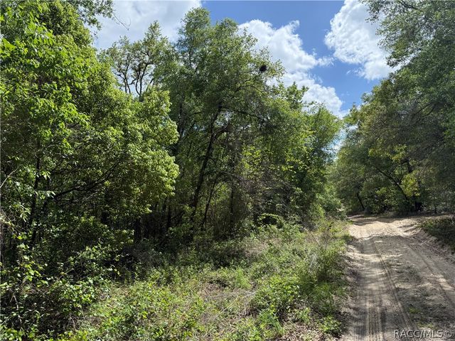 112 S Crestview Avenue, Inverness, FL 34452