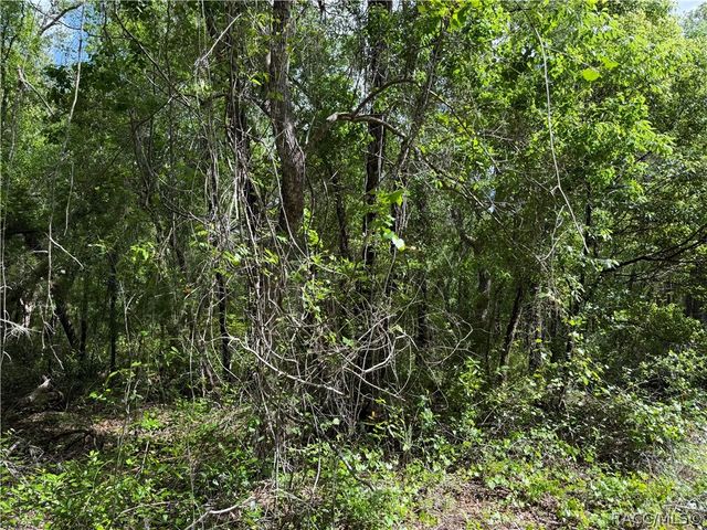 112 S Crestview Avenue, Inverness, FL 34452
