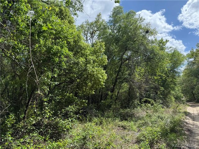 112 S Crestview Avenue, Inverness, FL 34452