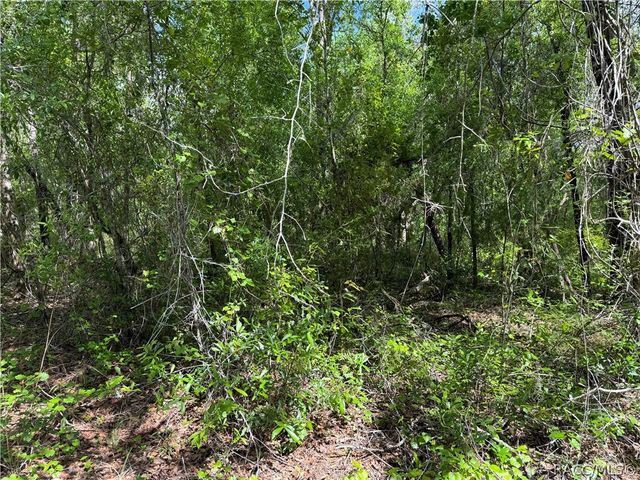 112 S Crestview Avenue, Inverness, FL 34452