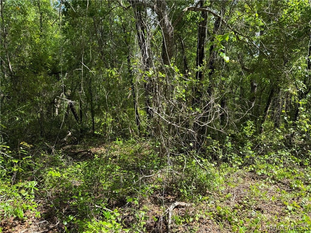 112 S Crestview Avenue, Inverness, FL 34452