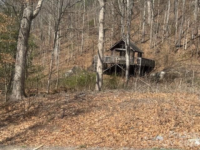 446 Rocky Fork Road, Burnsville, NC 28714