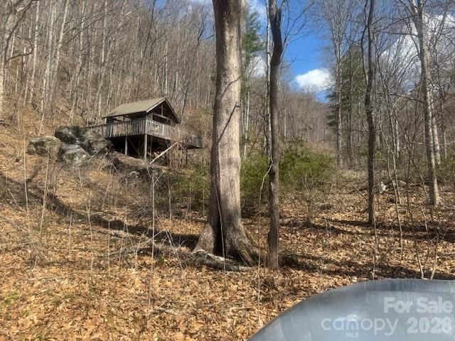 446 Rocky Fork Road, Burnsville, NC 28714