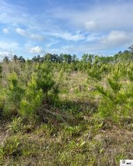 000 CENTURY LOOP, Chatham, LA 71226