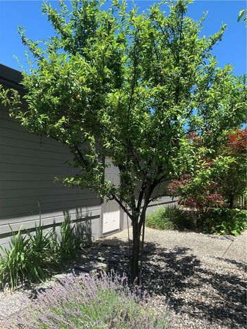 4430 lakeshore Boulevard, Lakeport, CA 95453