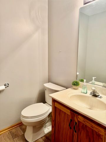 8300 Auburn Lane, Frankfort, IL 60423