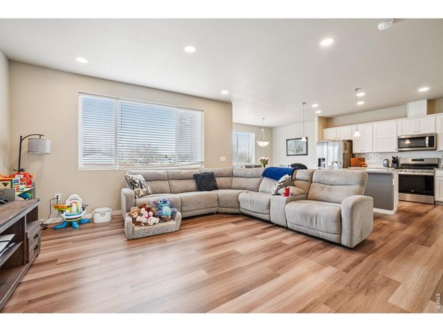3774 Beech Tree St, Wellington, CO 80549