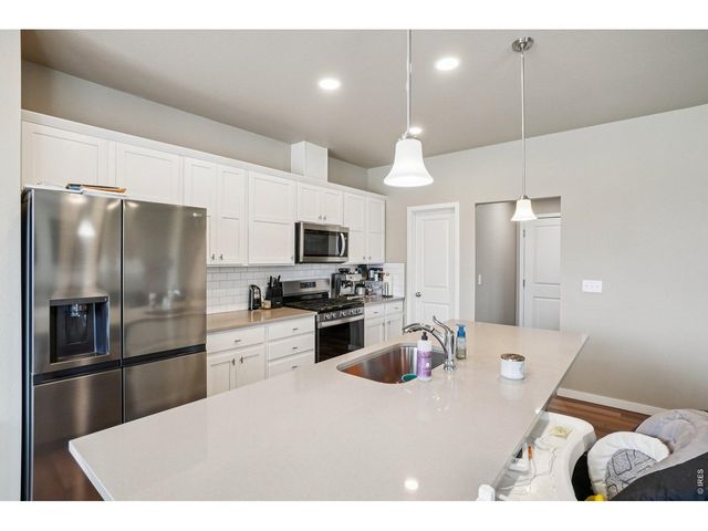 3774 Beech Tree St, Wellington, CO 80549
