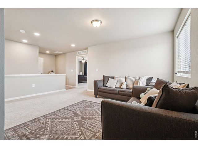 3774 Beech Tree St, Wellington, CO 80549