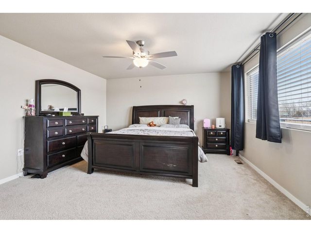 3774 Beech Tree St, Wellington, CO 80549