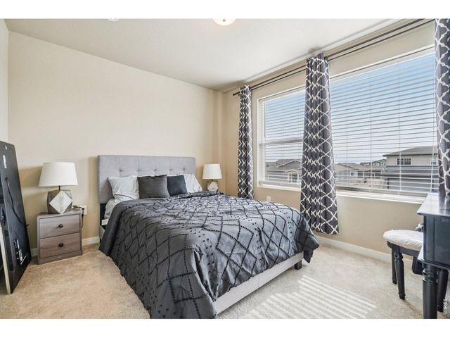 3774 Beech Tree St, Wellington, CO 80549