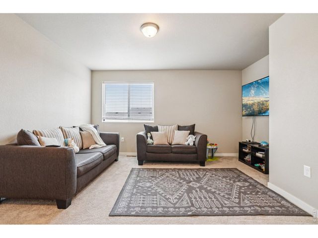 3774 Beech Tree St, Wellington, CO 80549