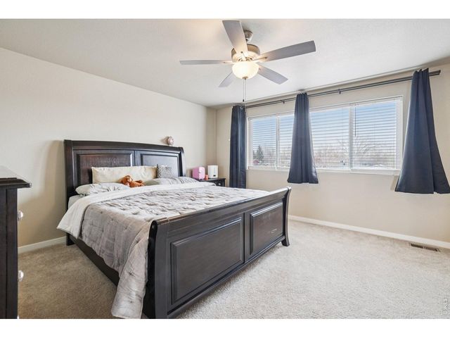 3774 Beech Tree St, Wellington, CO 80549