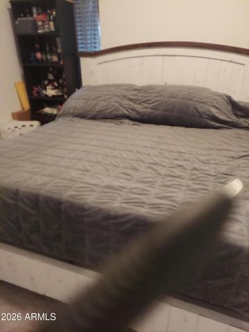 397 N LOBB Avenue, Superior, AZ 85173