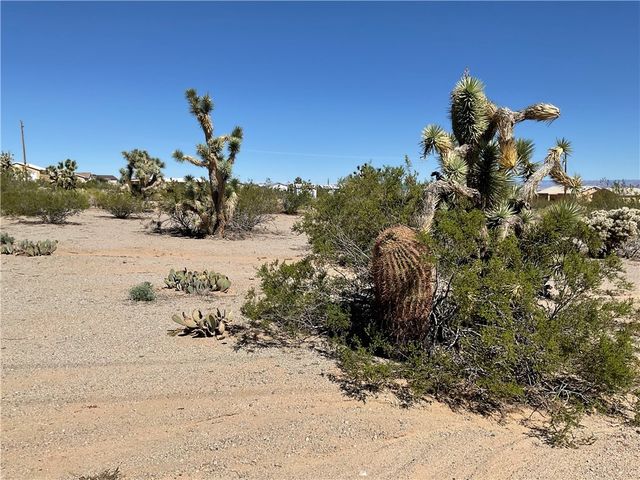 670 E Sumner Drive 154, Meadview, AZ 86444