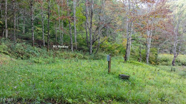 4966 Old Asheville Highway, Flag Pond, TN 37657