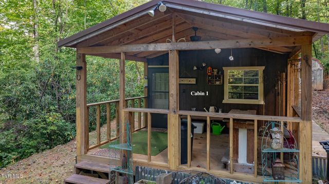 4966 Old Asheville Highway, Flag Pond, TN 37657