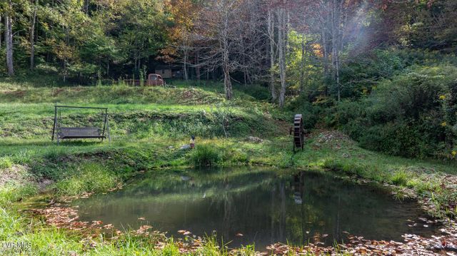 4966 Old Asheville Highway, Flag Pond, TN 37657