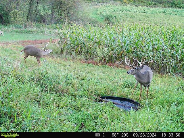 13376 Quarry Drive, Hillsboro, WI 54634