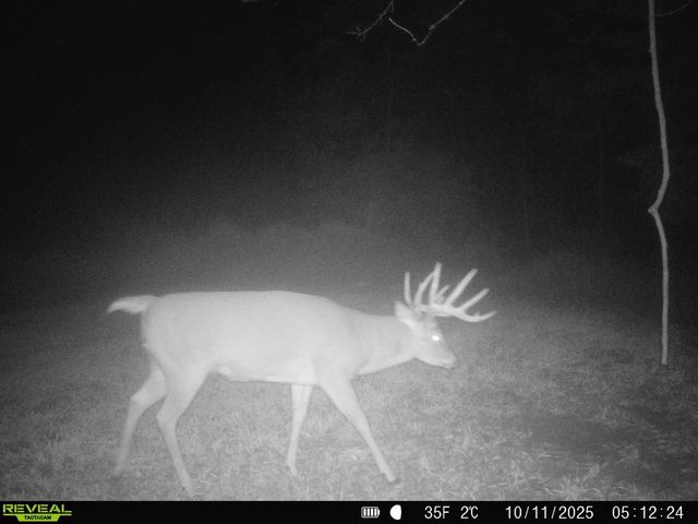 13376 Quarry Drive, Hillsboro, WI 54634