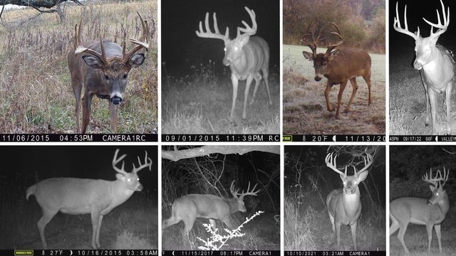 13376 Quarry Drive, Hillsboro, WI 54634