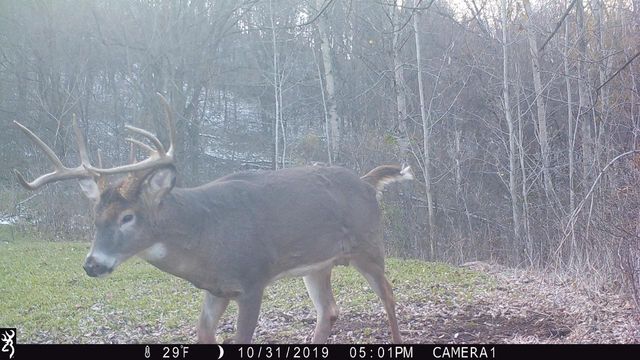 13376 Quarry Drive, Hillsboro, WI 54634