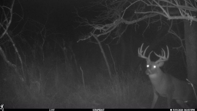 13376 Quarry Drive, Hillsboro, WI 54634